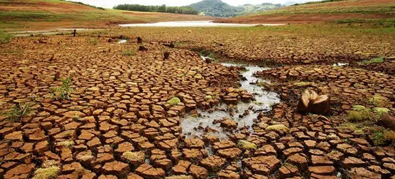 estudo-indica-risco