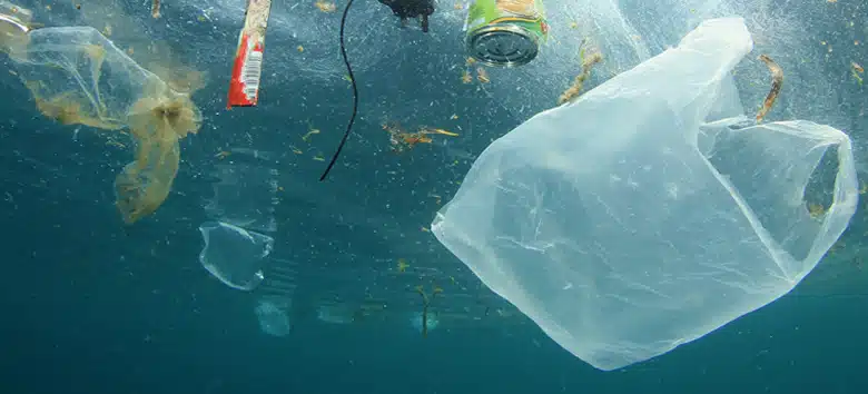 novo-comportamento-sem-sacolas-plasticas