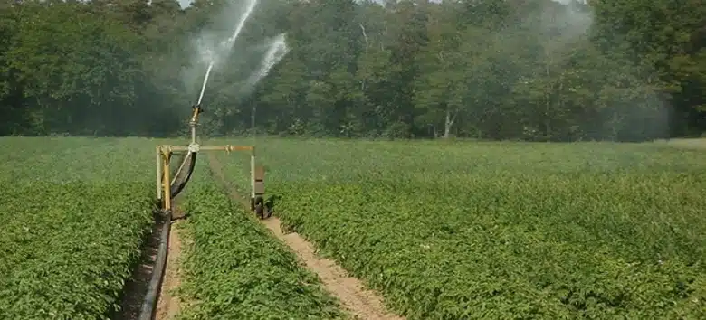 relatorio-aponta-solucoes-conservacao-agua