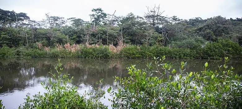 lancamento-de-esgoto