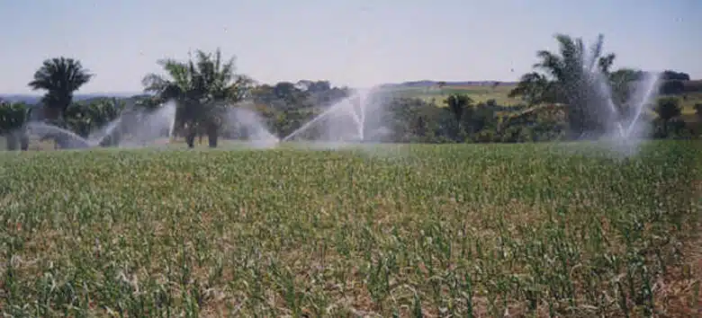 agrotoxicos
