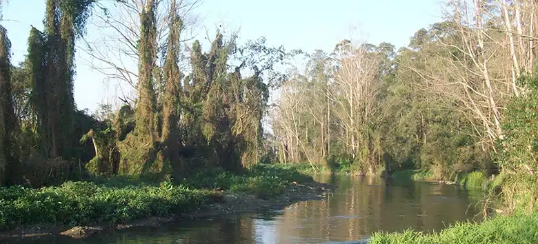 saneamento-basico