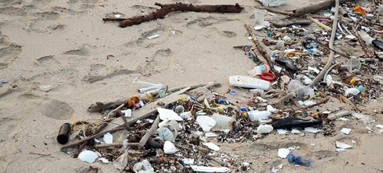Leia mais sobre o artigo Diagnóstico de lixo marinho será realizado em Ipojuca/PE para identificação de fontes poluidoras