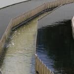 agua