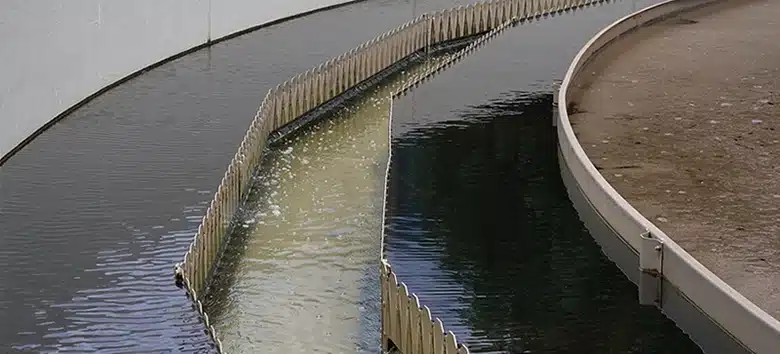 agua