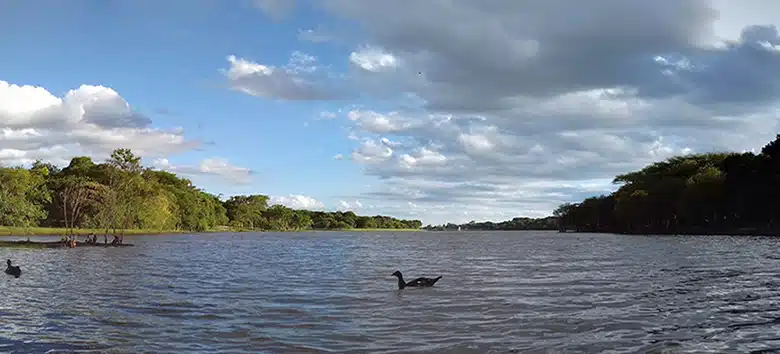 residuos