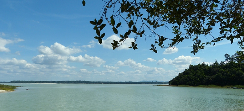 Leia mais sobre o artigo Limpeza das lagoas urbanas de Linhares/ES está 80% concluída