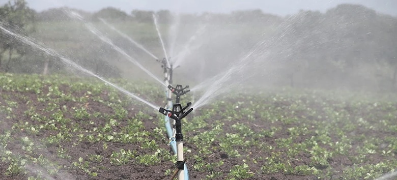 Leia mais sobre o artigo Monitor aponta intensificação da seca em Goiás