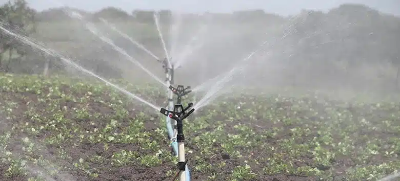 agua