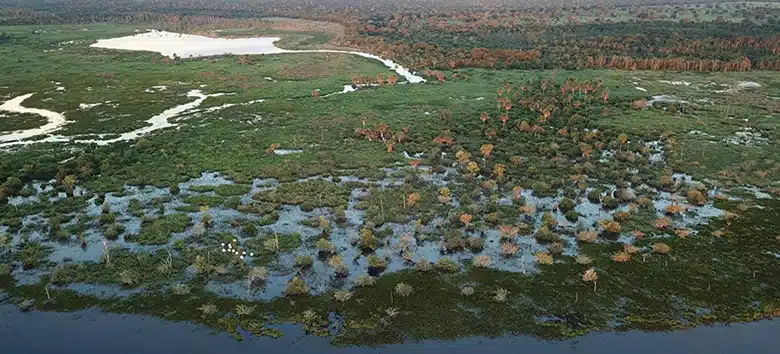 pantanal