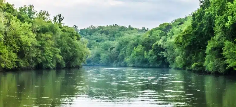 Bacia do Rio Urussanga