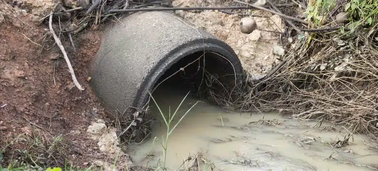 rio guandu