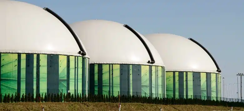 Biogás