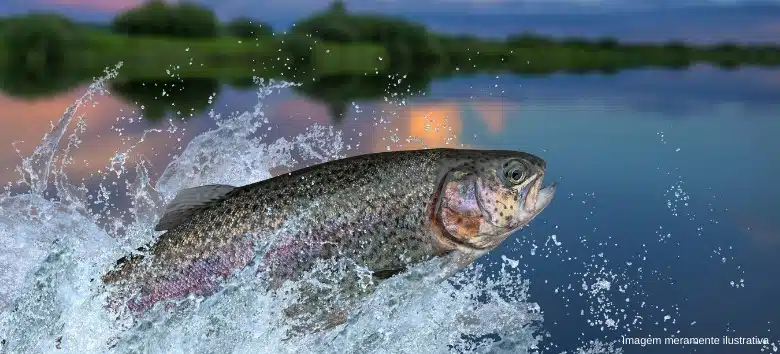 perumbeba