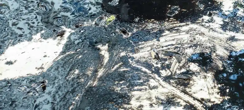 contaminação2