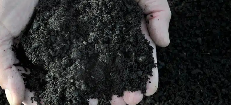 compostagem