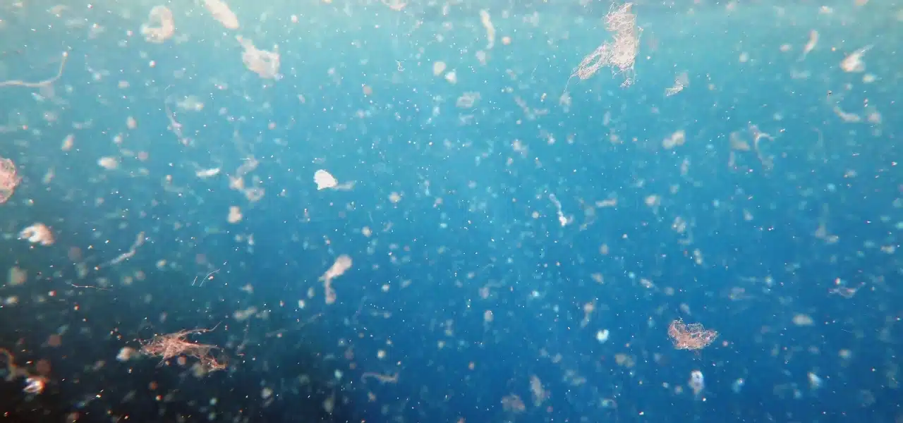 microplasticos