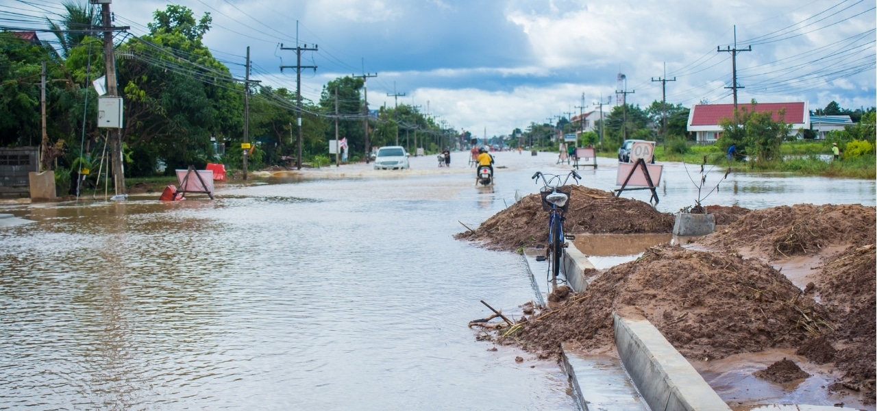 Leia mais sobre o artigo BH testa jardim de água da chuva contra inundação de estradas