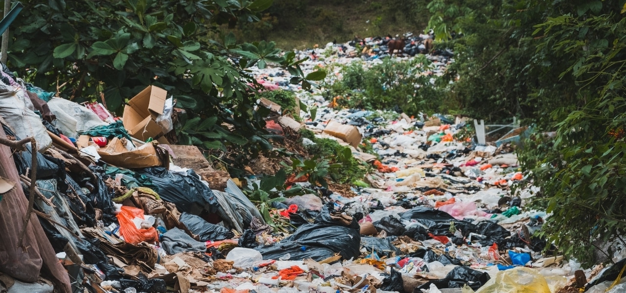 Leia mais sobre o artigo 11 cidades de MG são as únicas do Sudeste que descartam lixo de maneira inadequada