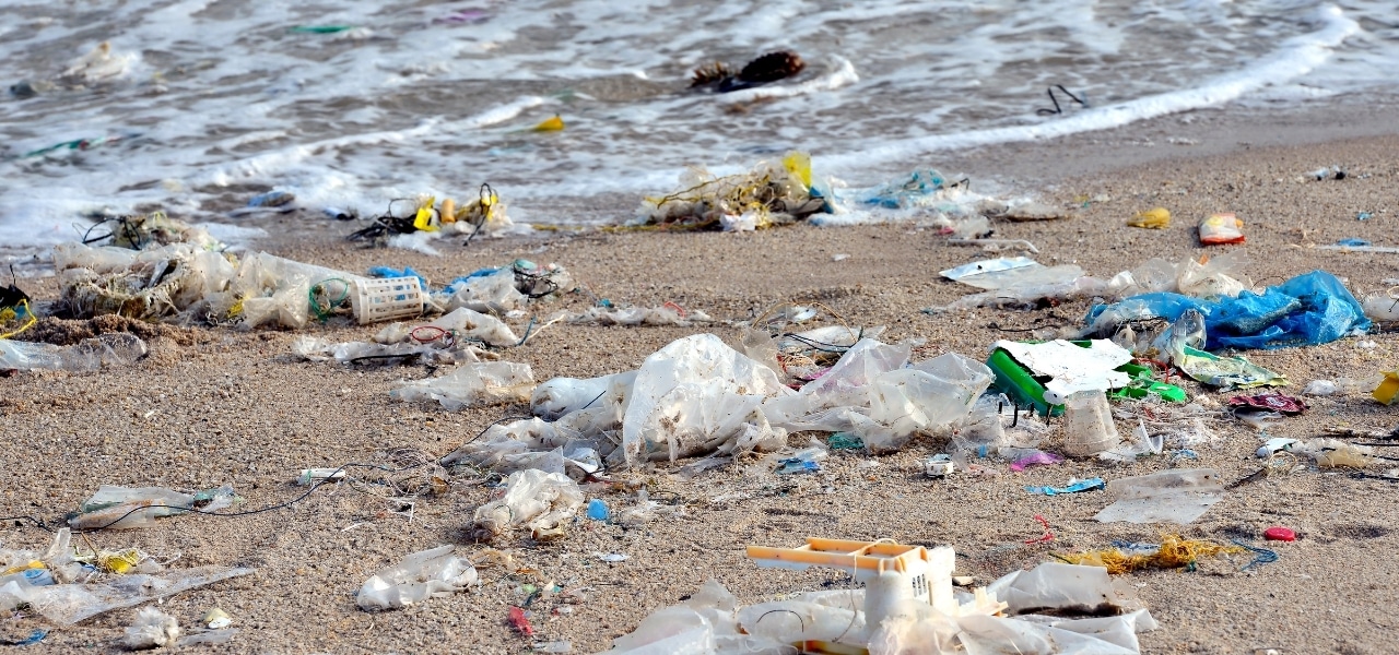 Leia mais sobre o artigo Projeto registra acúmulo de resíduos sólidos no litoral de Salvador/BA