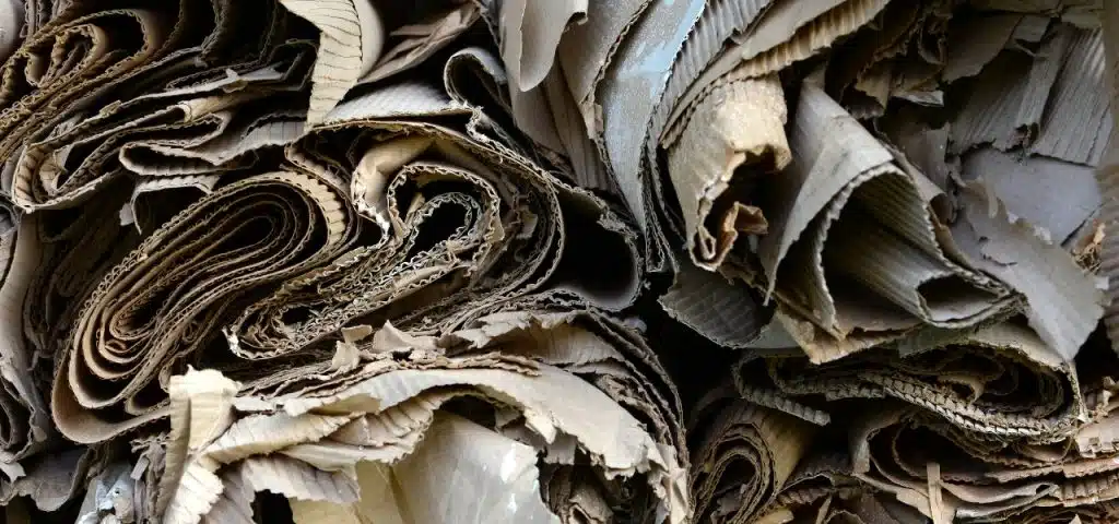 papel-cooperativas