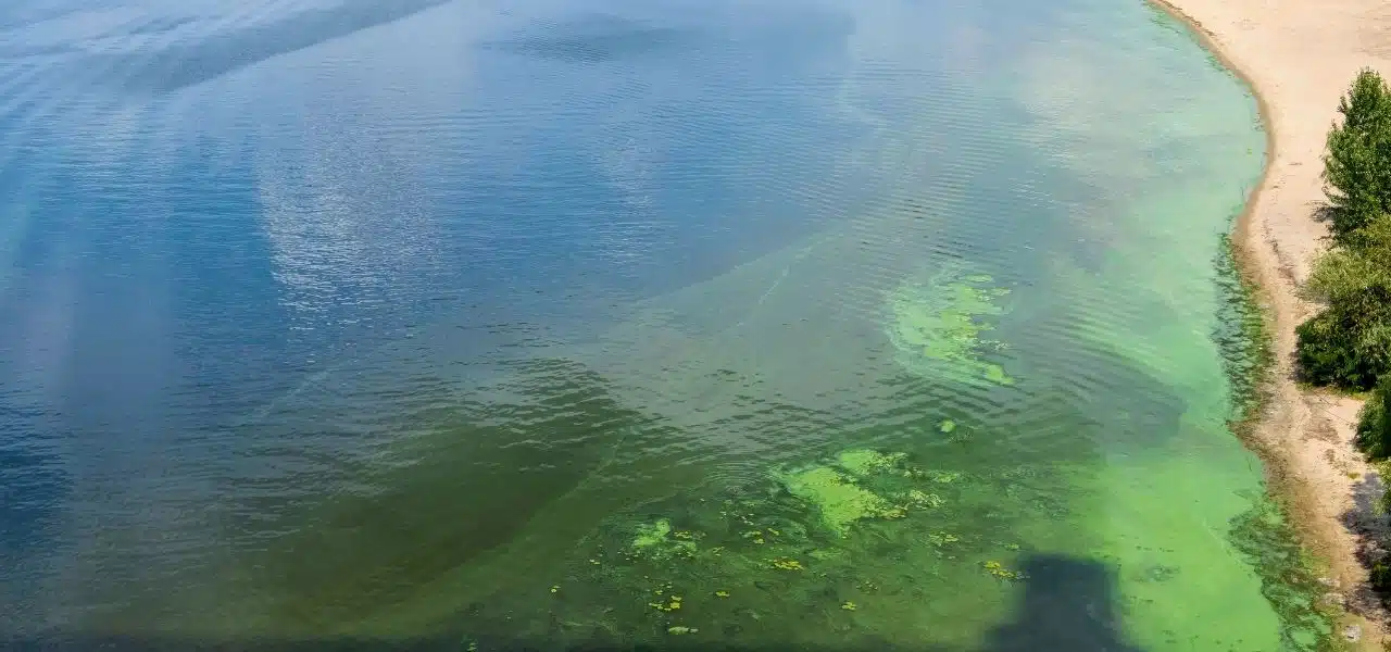 Lagoa Barra Tijuca