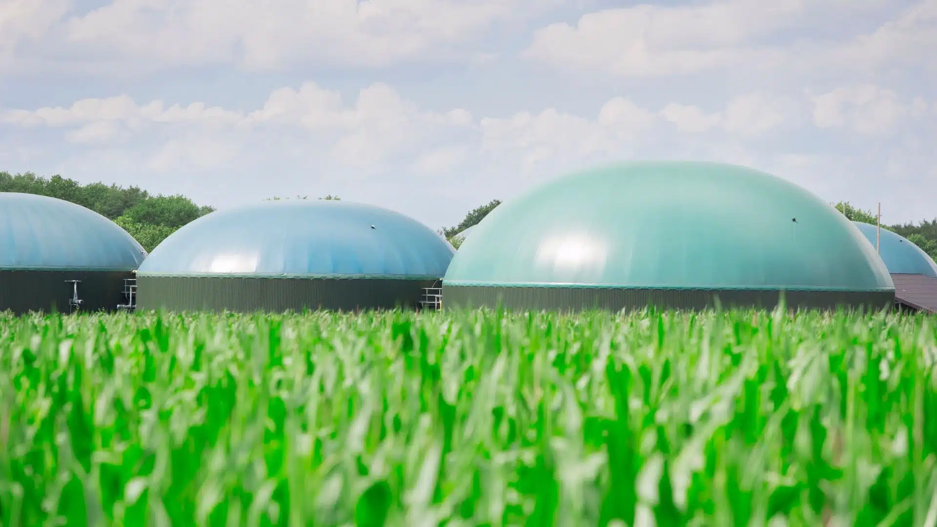 biogas