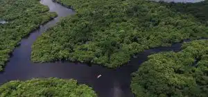 Enchentes Bacia Amazônica