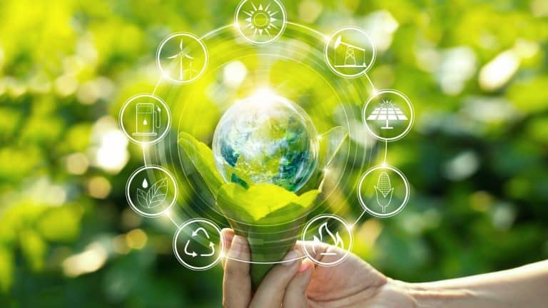 Sustentabilidade na gestão pública