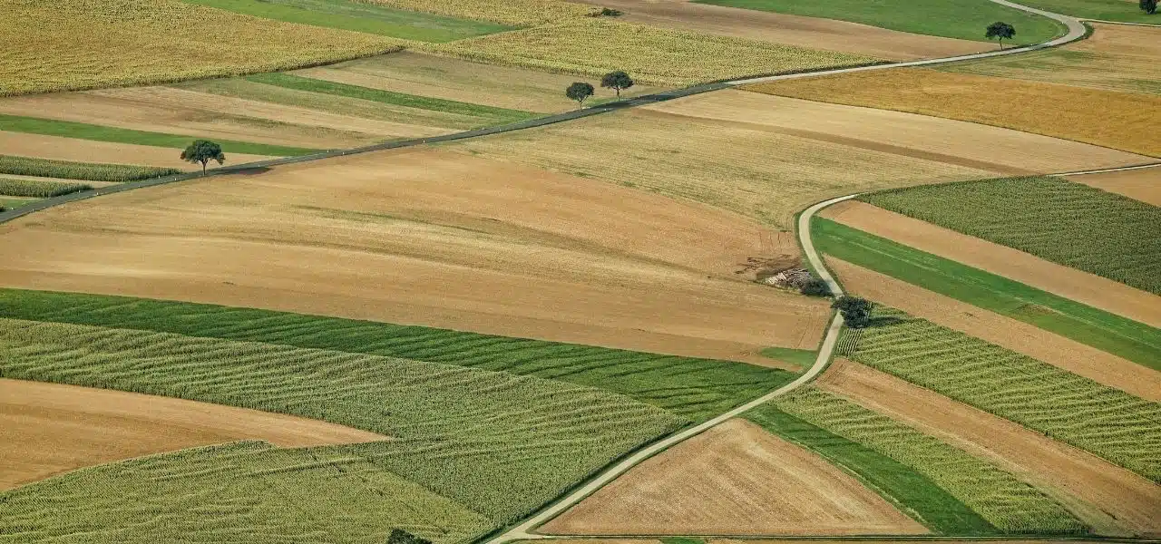 agronegocio