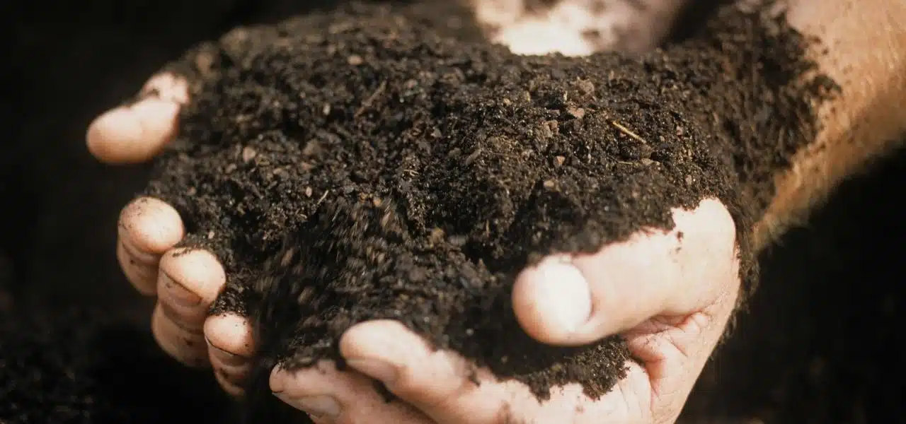 insumos-agricolas