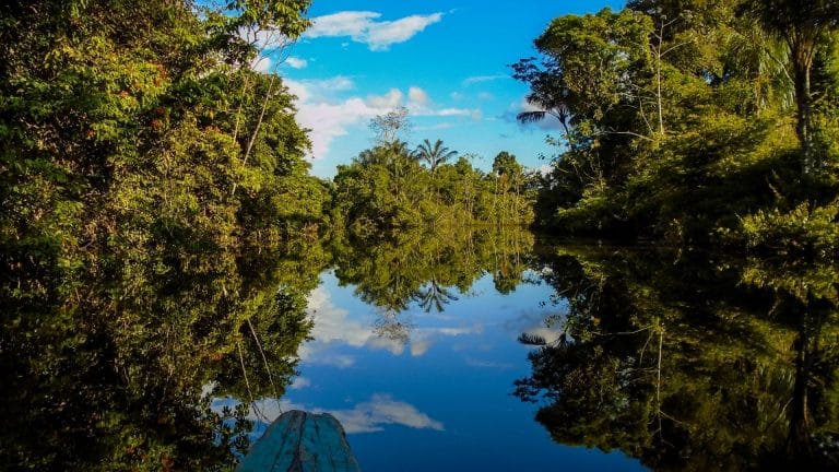 Saneamento básico no Amazonas e saúde da população sob a ótica das internações hospitalares - Agenda 30