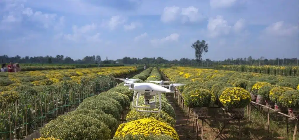 Imagem drone sobrevoando o campo