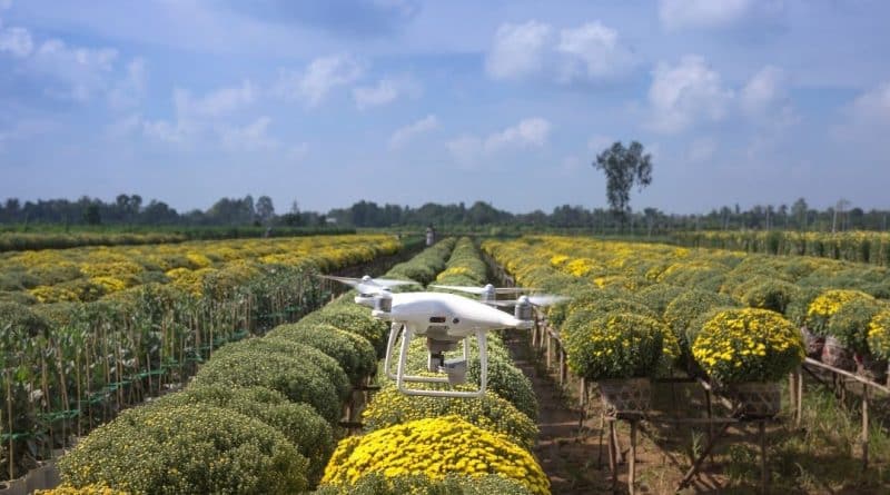Imagem drone sobrevoando o campo