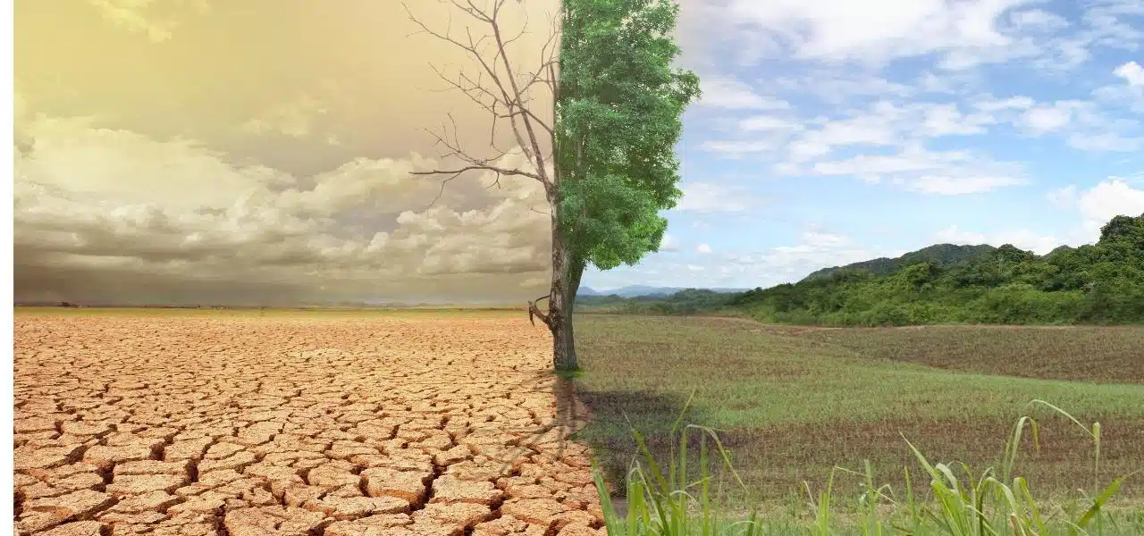 emergencia climatica