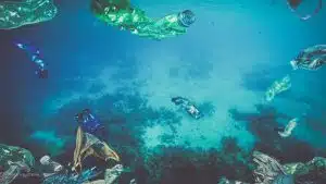 Coletor de lixo marinho