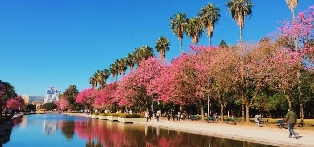 porto alegre