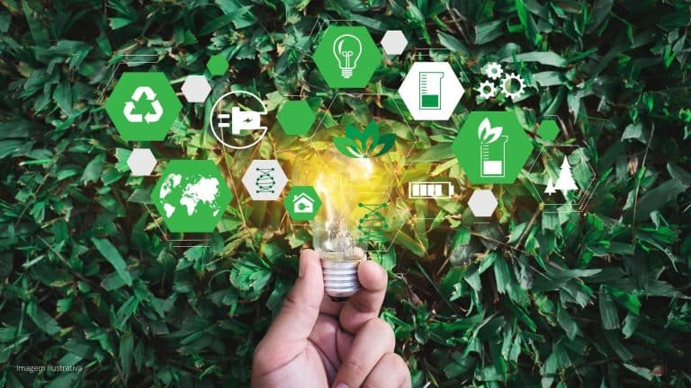 Sustentabilidade em uma universidade tecnológica brasileira