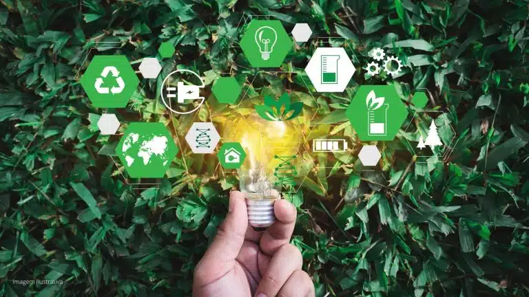 Sustentabilidade em uma universidade tecnológica brasileira