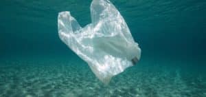 Resíduos Plásticos Poluição