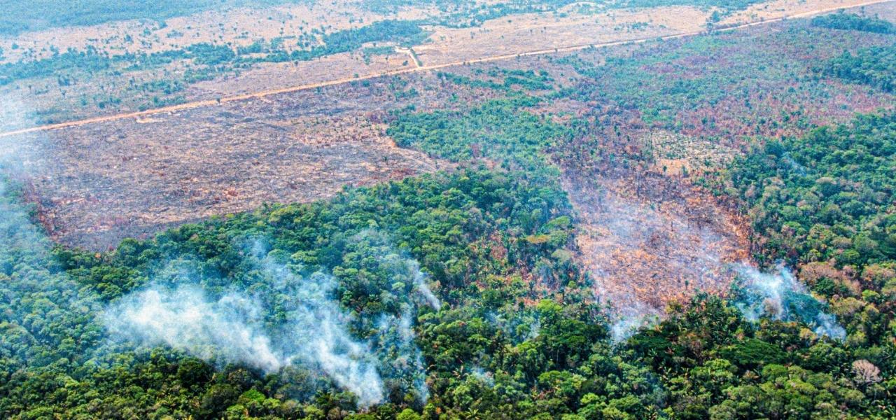 Leia mais sobre o artigo 8 dos 10 municípios que mais emitem gases do aquecimento global no Brasil estão na Amazônia