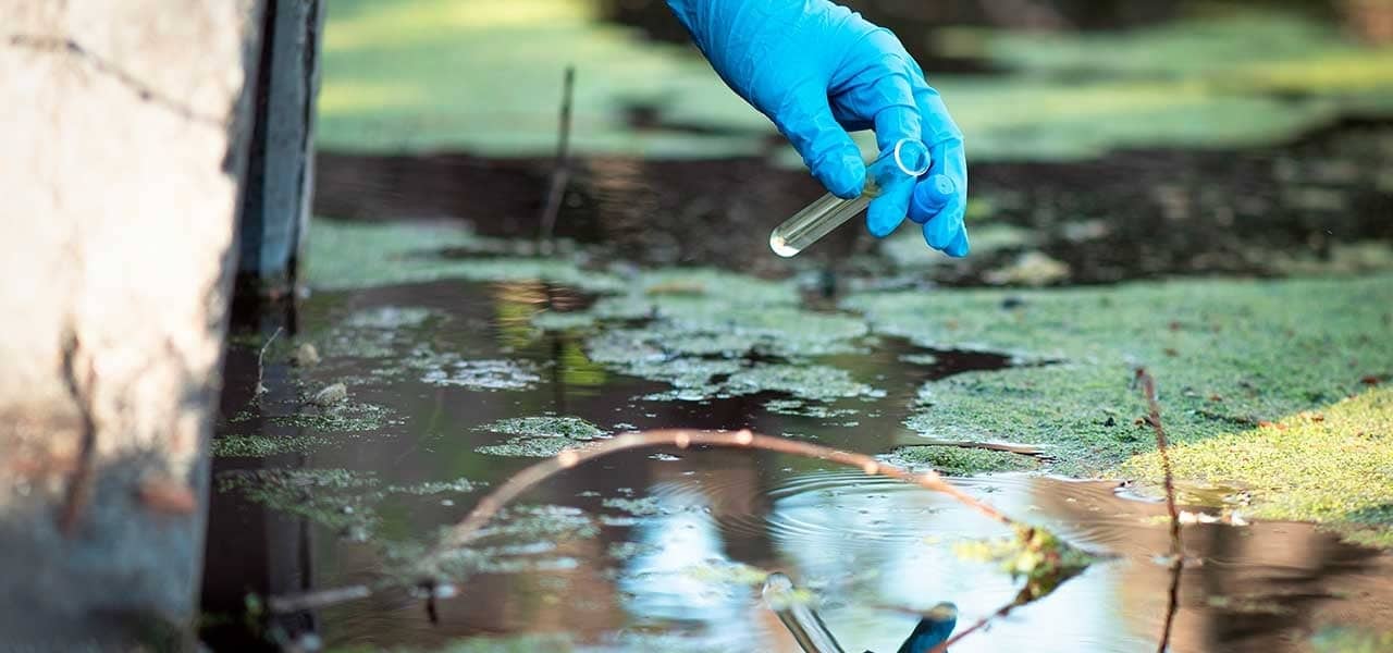 Leia mais sobre o artigo Superbac efetiva parceria com a Clean para biorremediação de áreas contaminadas