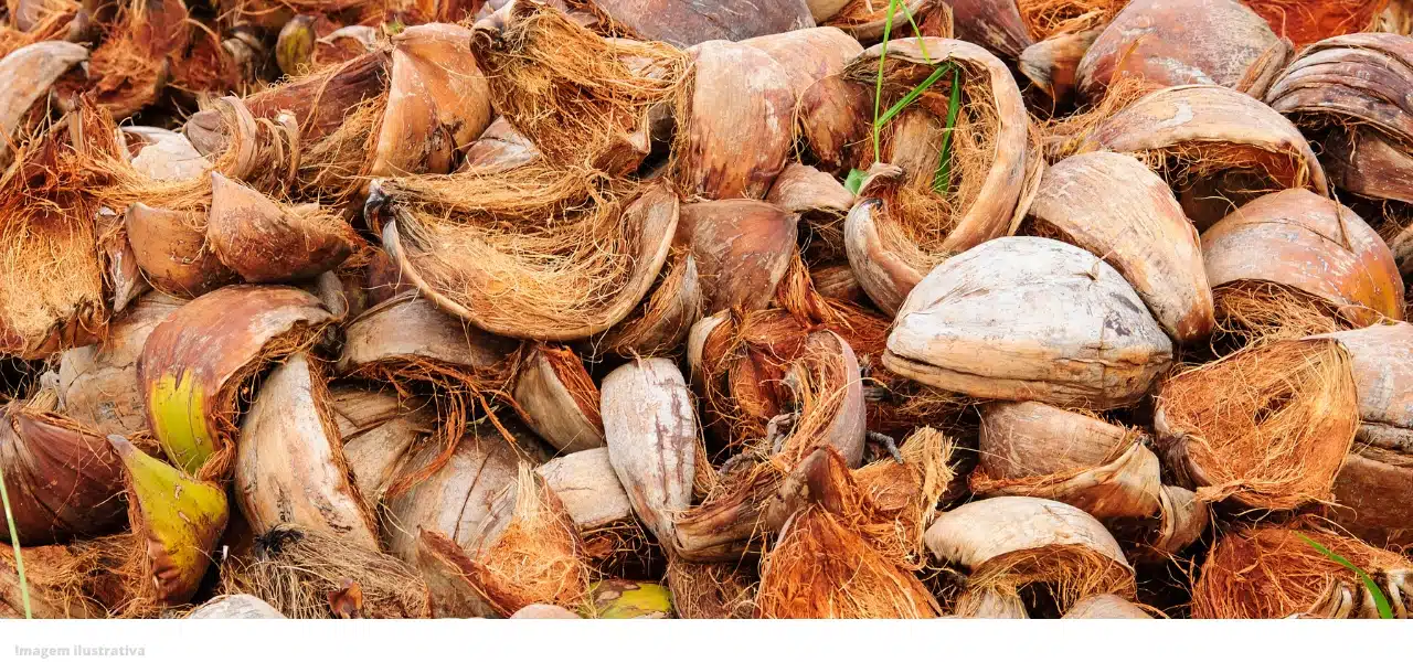 Reciclagem