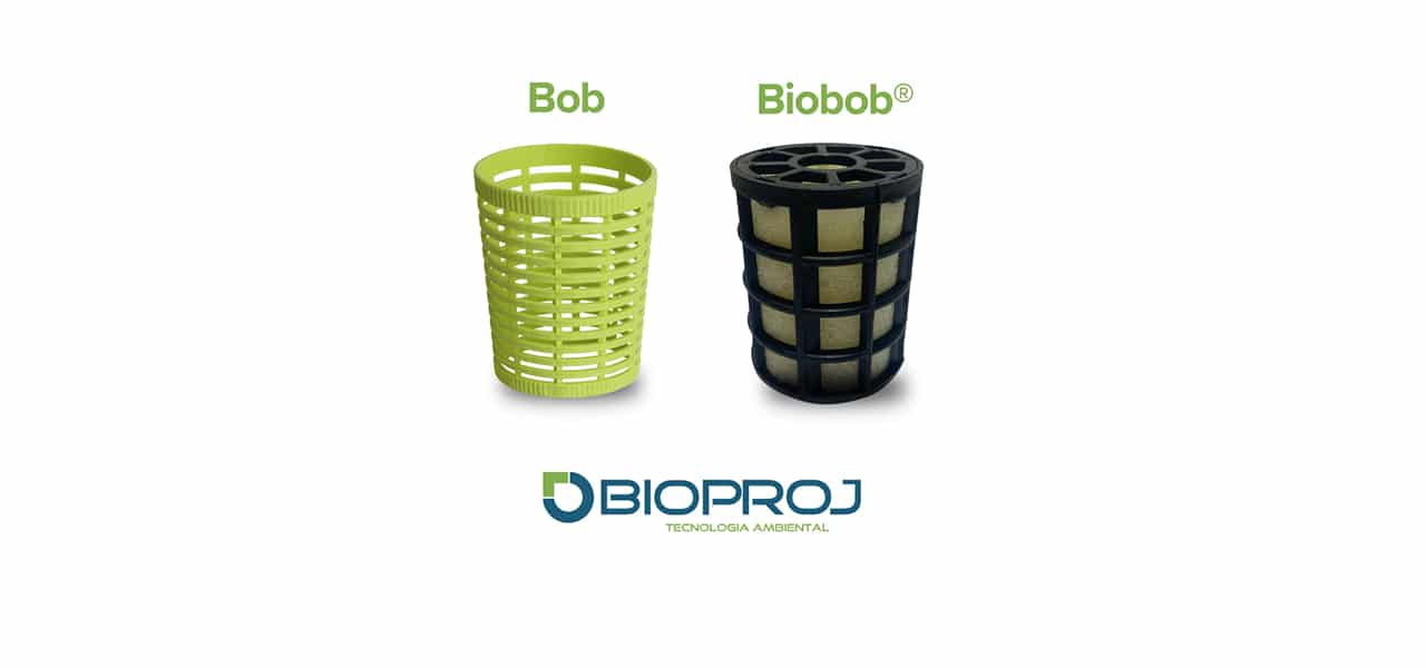 Leia mais sobre o artigo Qual a semelhança entre o Biobob e um bob de cabelo?