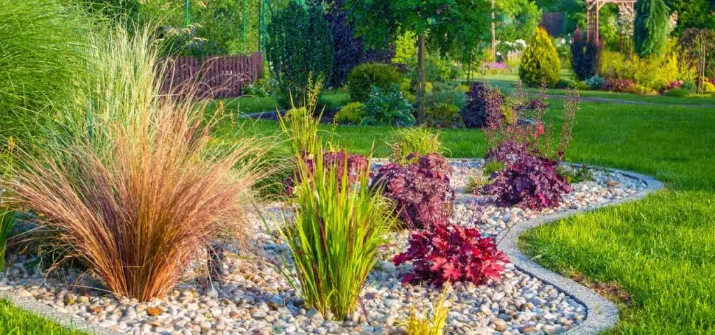 Jardins filtrantes despoluem águas