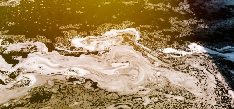Contaminantes Emergentes