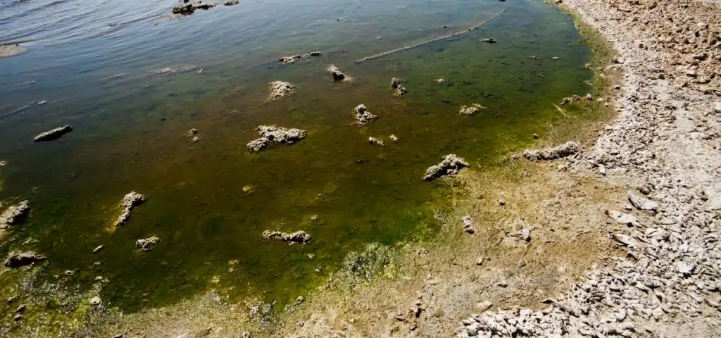 contaminantes emergentes na água