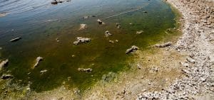 contaminantes emergentes na água