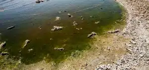 contaminantes emergentes na água