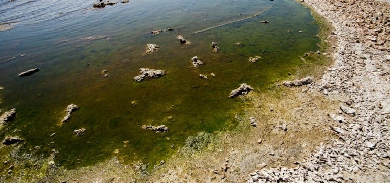 contaminantes emergentes na água